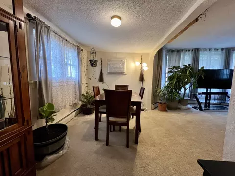 Dining - 302 Dickson St, Sidell, IL 61876 photo 3 of 4