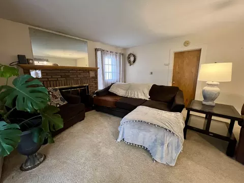 Living - 302 Dickson St, Sidell, IL 61876 photo 5 of 5