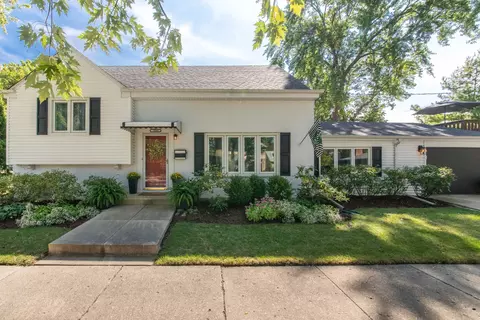 1800 S Vine Ave, Park Ridge, IL 60068