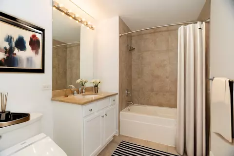 Bath - 100 E 14th St #1804, Chicago, IL 60605 photo 1 of 2