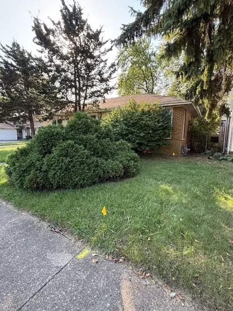1037 E 142nd St, Dolton, IL 60419 photo 6
