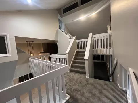 Entry Way - 42 Danube Way, Olympia Fields, IL 60461 photo 7 of 8