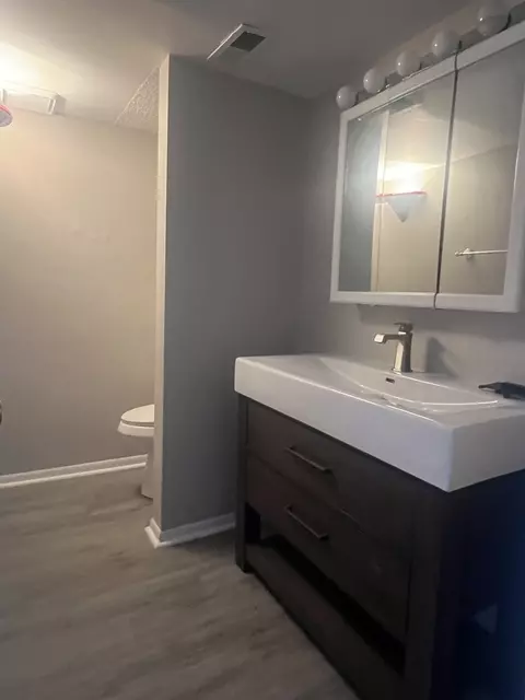 Bath - 42 Danube Way, Olympia Fields, IL 60461 photo 1 of 10