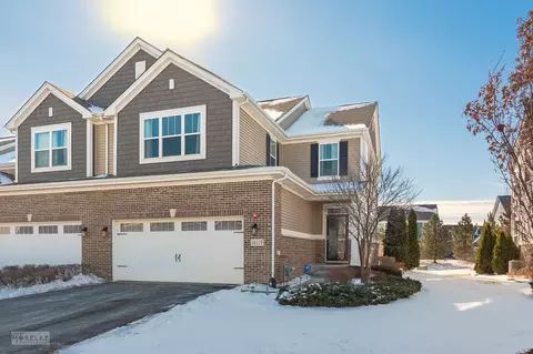 16119 W Switch Grass Rd, Lockport, IL 60441