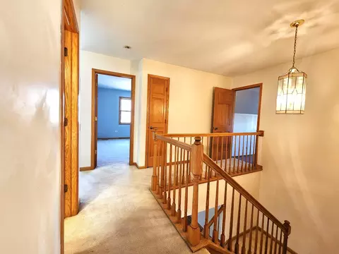 Entry Way - 215 N Airlite St, Elgin, IL 60123 photo 10 of 10