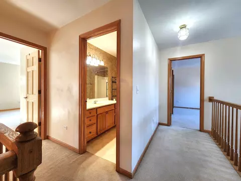 Entry Way - 215 N Airlite St, Elgin, IL 60123 photo 8 of 10