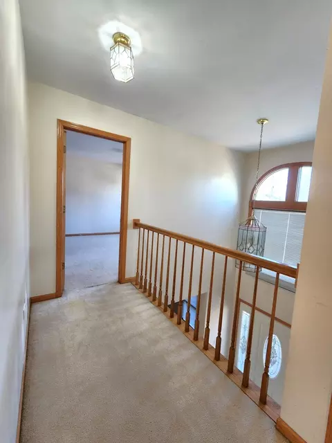 Entry Way - 215 N Airlite St, Elgin, IL 60123 photo 9 of 10