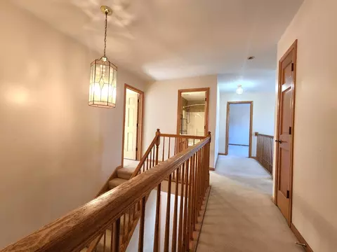 Entry Way - 215 N Airlite St, Elgin, IL 60123 photo 7 of 10
