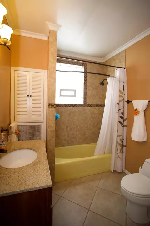 223 Elm St, Elgin, IL 60123 photo 23