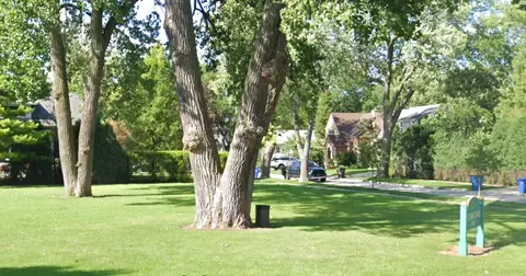 Exterior - 657 Arlington Ave, Des Plaines, IL 60016 photo 7 of 10