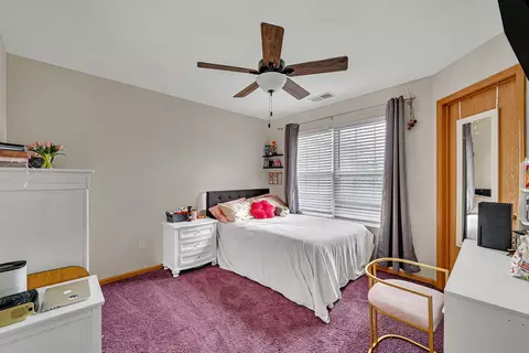 24058 Pear Tree Cir, Plainfield, IL 60585 photo 20