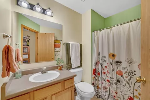 24058 Pear Tree Cir, Plainfield, IL 60585 photo 22