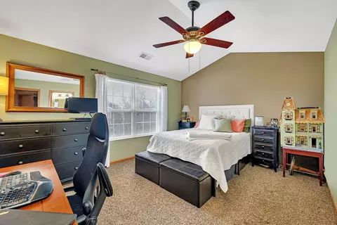24058 Pear Tree Cir, Plainfield, IL 60585 photo 17