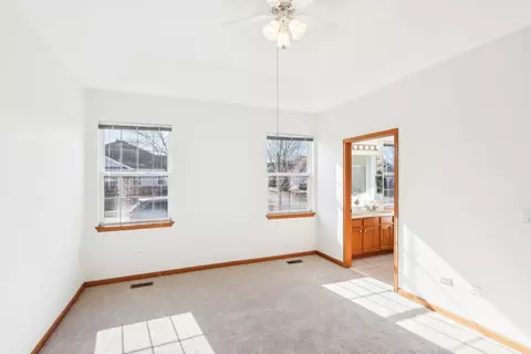 21536 W Empress Ln, Plainfield, IL 60544 photo 14