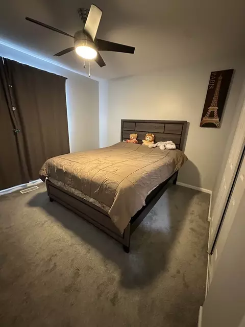 Bedroom - 220 Creekside Dr, Bolingbrook, IL 60440 photo 2 of 4