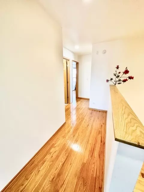 Entry Way - 4151 S Lowe Ave, Chicago, IL 60609 photo 3 of 5
