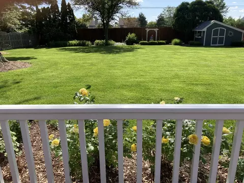 Exterior - 705 Whitlock Ave, Aurora, IL 60506 photo 7 of 9