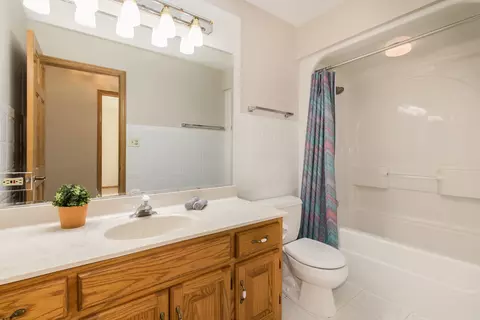 Bath - 19840 Ryan Ct, Mokena, IL 60448 photo 2 of 4