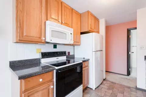 1702 Mill St #310, Des Plaines, IL 60016 photo 25