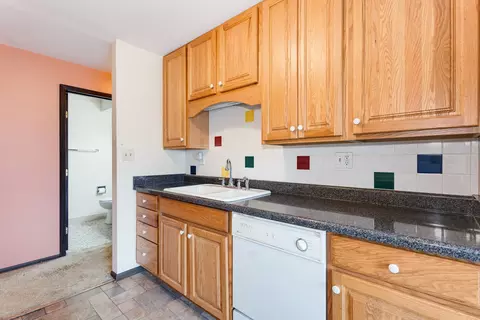 1702 Mill St #310, Des Plaines, IL 60016 photo 23