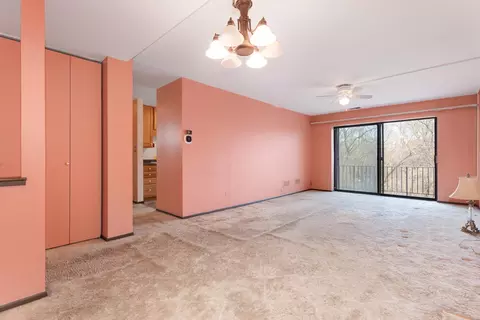 1702 Mill St #310, Des Plaines, IL 60016 photo 17