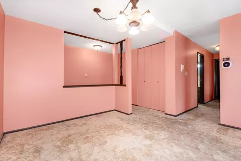 1702 Mill St #310, Des Plaines, IL 60016 photo 19