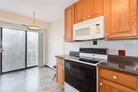1702 Mill St #310, Des Plaines, IL 60016 photo 24