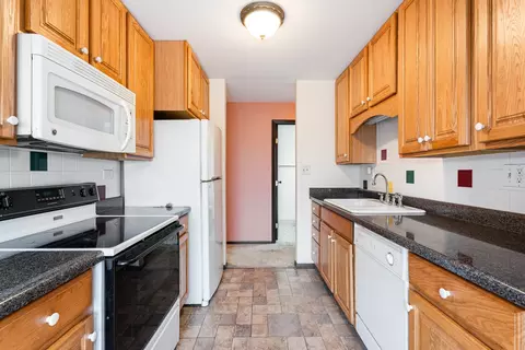 1702 Mill St #310, Des Plaines, IL 60016 photo 21