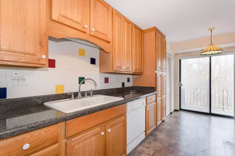 1702 Mill St #310, Des Plaines, IL 60016 photo 22