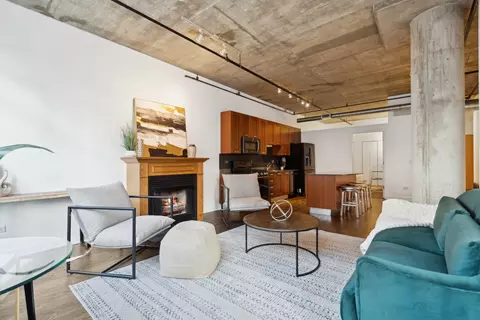 Living - 111 S Morgan St #407, Chicago, IL 60607 photo 3 of 5