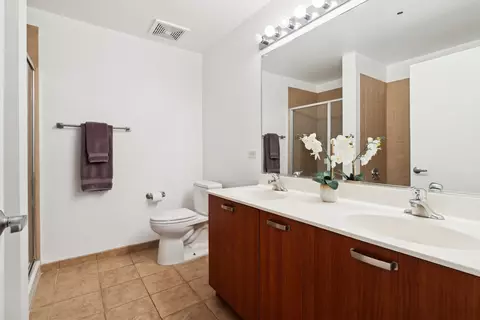 Bath - 111 S Morgan St #407, Chicago, IL 60607 photo 1 of 3