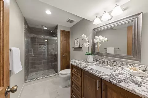 Bath - 560 Tennyson Dr, Wheaton, IL 60189 photo 4 of 4