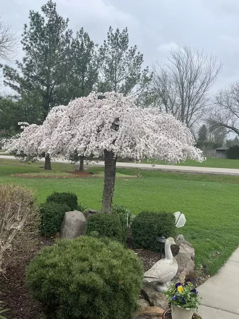 31 E Stonegate Dr, Prospect Heights, IL 60070 photo 39
