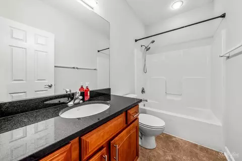 Bath - 144 River Walk Ct, Elgin, IL 60120 photo 4 of 4