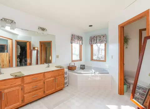 Bath - 418 S Comet Dr, Braidwood, IL 60408 photo 2 of 6