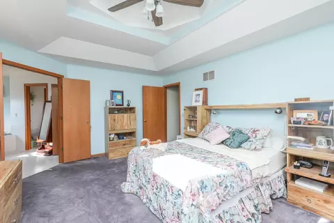 Bedroom - 418 S Comet Dr, Braidwood, IL 60408 photo 2 of 6