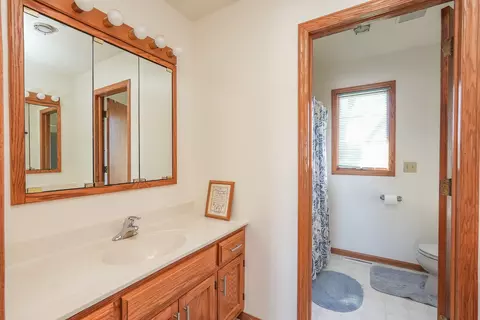 Bath - 418 S Comet Dr, Braidwood, IL 60408 photo 4 of 6