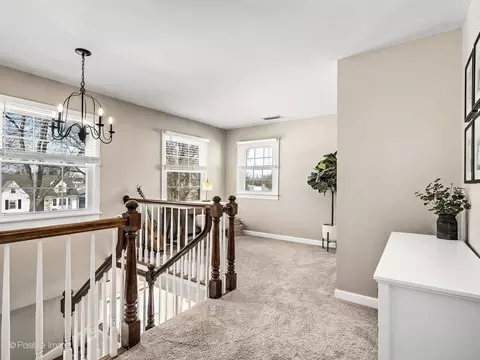 1015 N Cross St, Wheaton, IL 60187 photo 24