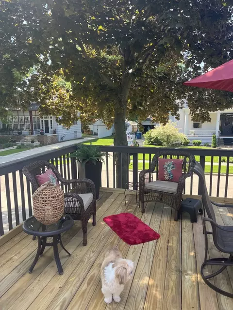 702 Green St, Ottawa, IL 61350 photo 28