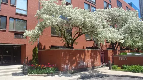 1143 S Plymouth Ct #111, Chicago, IL 60605