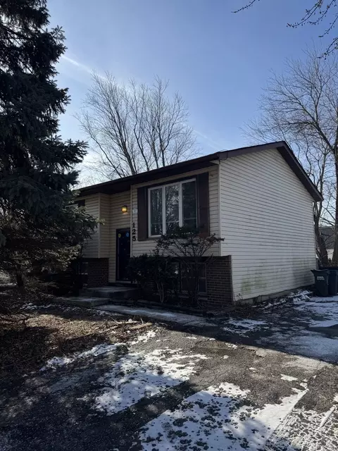 125 Butternut Dr, Bolingbrook, IL 60440