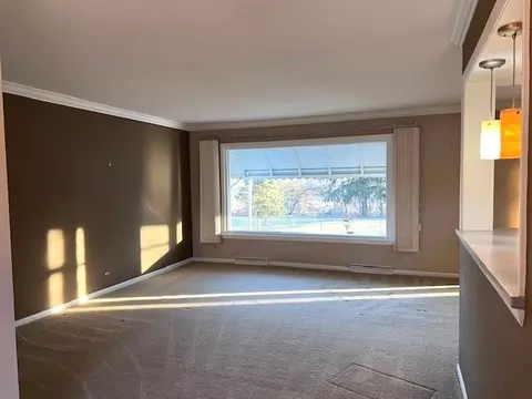 37 W097 Brookside Dr, Elgin, IL 60123 photo 24