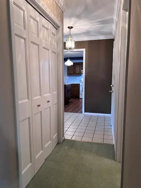 37 W097 Brookside Dr, Elgin, IL 60123 photo 35