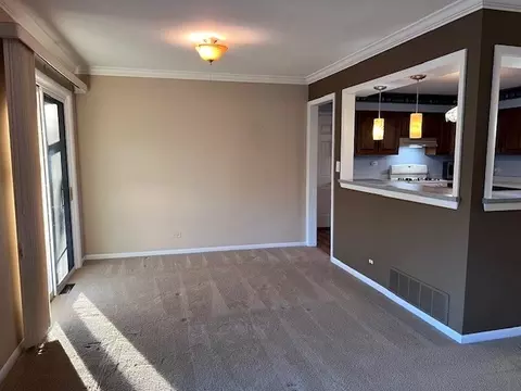 37 W097 Brookside Dr, Elgin, IL 60123 photo 21