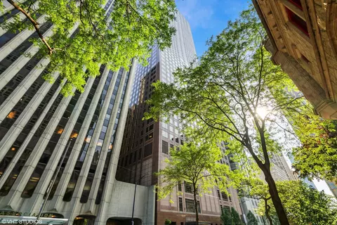 161 E Chicago Ave #53H, Chicago, IL 60611