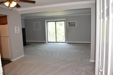 Living - 114 E Bailey Rd #L, Naperville, IL 60565 photo 5 of 6