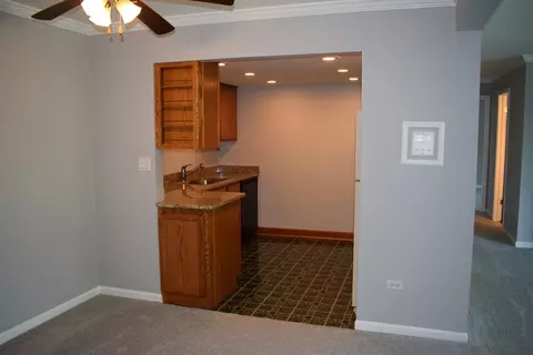 Other - 114 E Bailey Rd #L, Naperville, IL 60565 photo 2 of 4