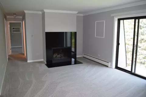 Living - 114 E Bailey Rd #L, Naperville, IL 60565 photo 6 of 6