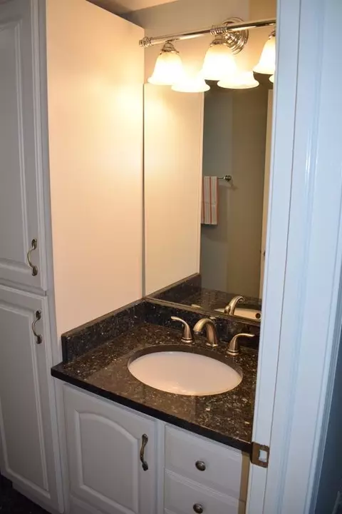 Bath - 114 E Bailey Rd #L, Naperville, IL 60565 photo 1 of 4