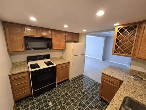 Kitchen - 114 E Bailey Rd #L, Naperville, IL 60565 photo 2 of 3